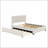 Upholstered Platform Bed with Trundle and Two Drawers-1994741514