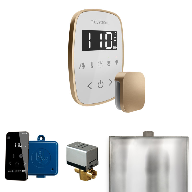 Ensemble de commande de douche à vapeur ButlerFlex avec contrôle TempoFlex et tête de vapeur, Blanc / bronze brossé