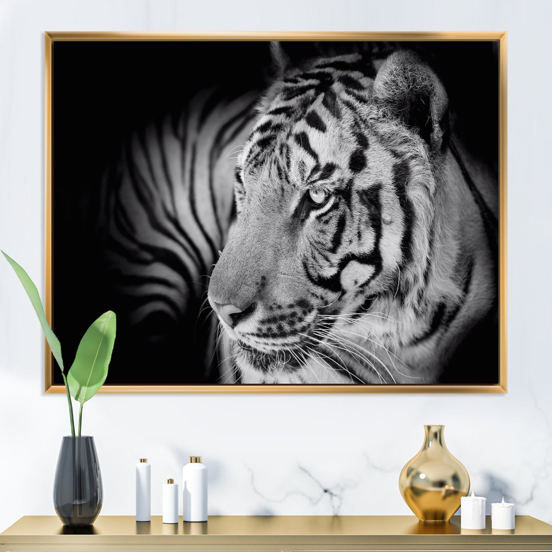 " Monochrome Portrait Of A White Tiger VII " Painting Print East Urban Home 