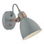 Azalea Spotlight-25454767