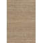 Area Rug in Brown