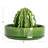 Cactus-Shaped Stoneware Juicer