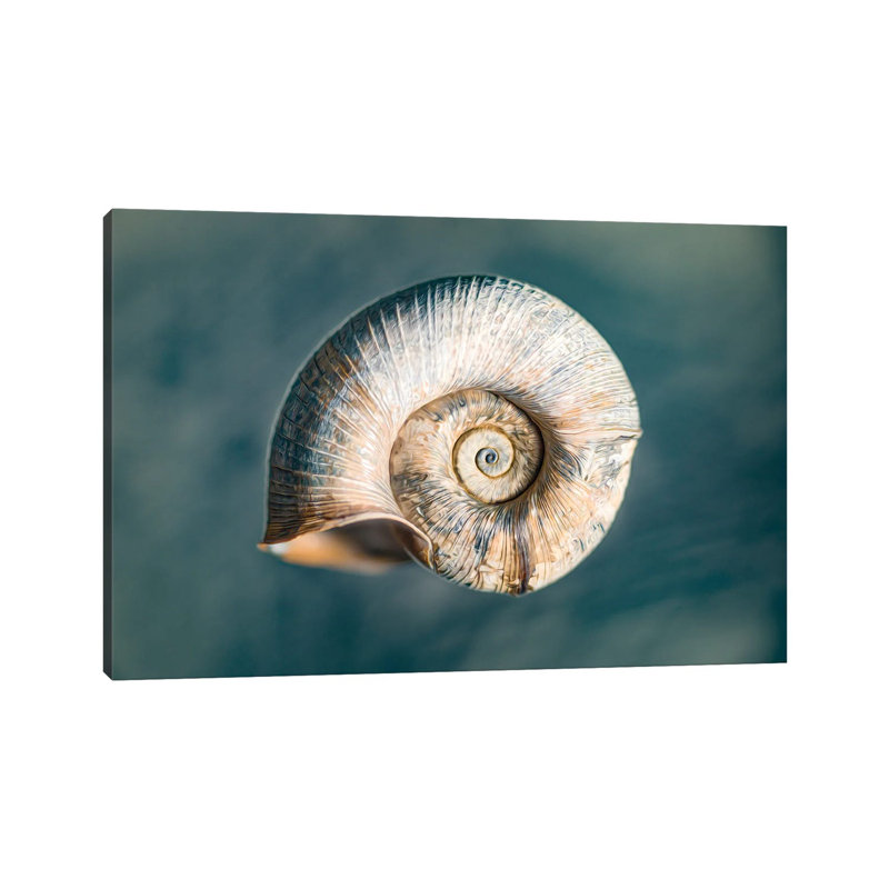 100 Years Of Shell Oceanic Edition by Nik Rave - Wrapped Canvas Print, 66.04 cm H x 45.72 cm W