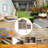 Chicken Coop With Nesting Box-870073821
