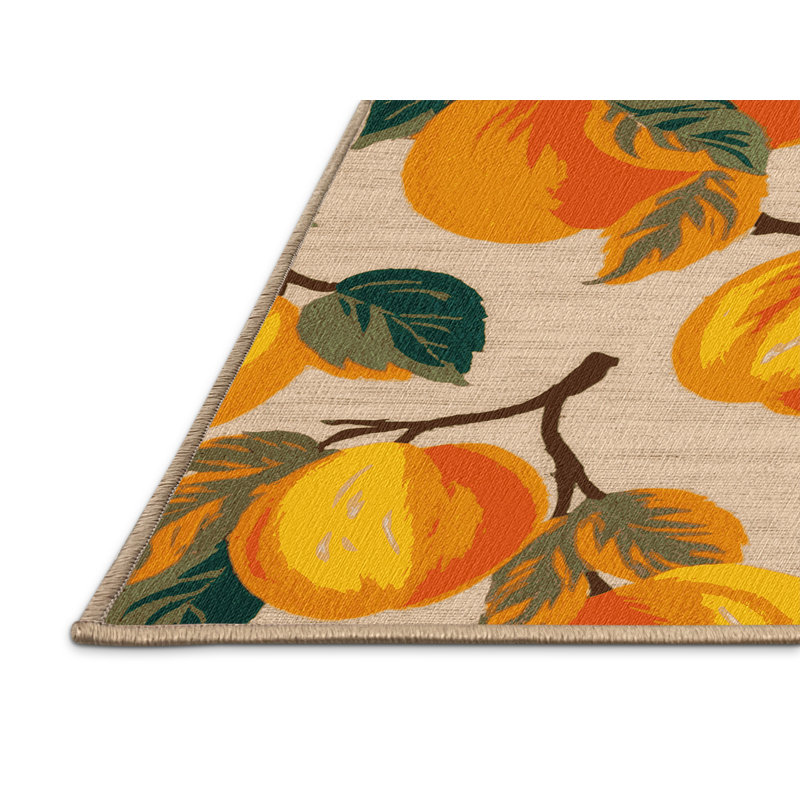  Tapis lavable abricot, Tapis de couloir 2 pi x 4 pi