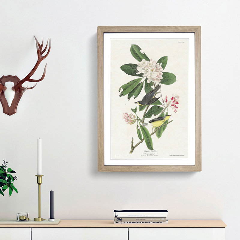 Canada Warbler Birds by John Audubon - Picture Frame Painting Print, Oak Framed, 48cm H x 36cm W x 2cm D