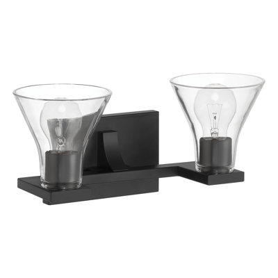 Malani 14-inch 2-light Matte Black Vanity Light with Clear Glass Shades