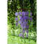 Carillon mauve avec perles de bois carillon