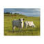 No Frame Print on Canvas-1021191514