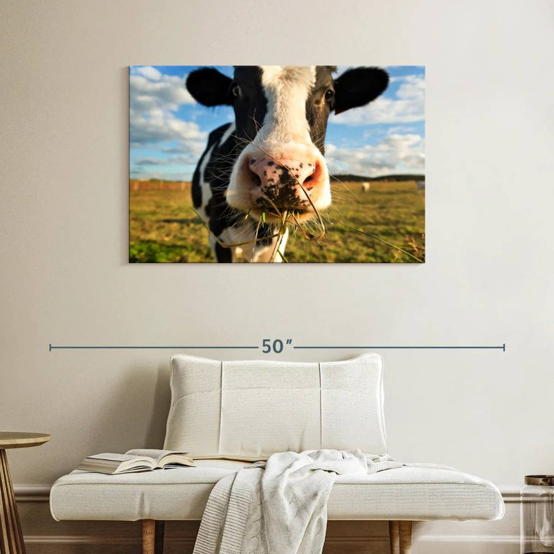 Vache Brampt, H 26 po x l 39 po