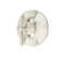 Arterra Single Handle Tub and Shower Valve Only Trim