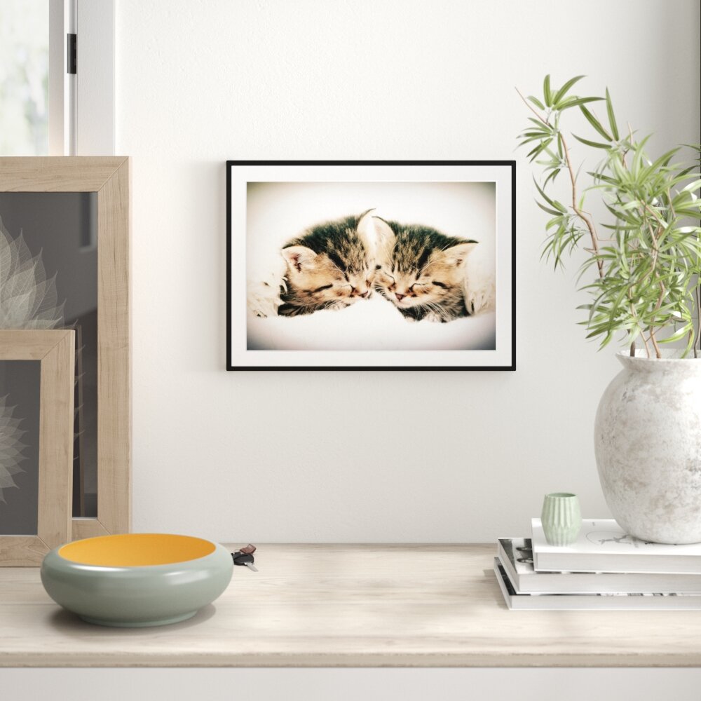 Gerahmtes Poster Katzen Herzform