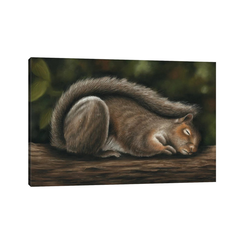 Squirrel 1 Piece Wrapped Canvas Painting, 20.32 cm H x 30.48 cm W