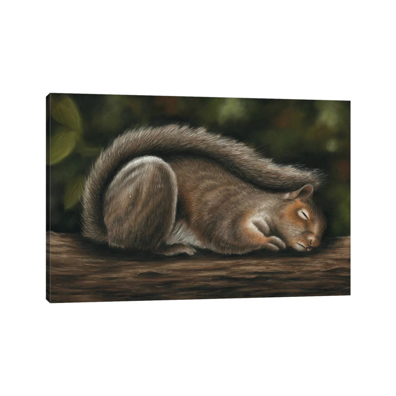 Squirrel by Richard Macwee - Wrapped Canvas Painting, 20.32 cm H x 30.48 cm W