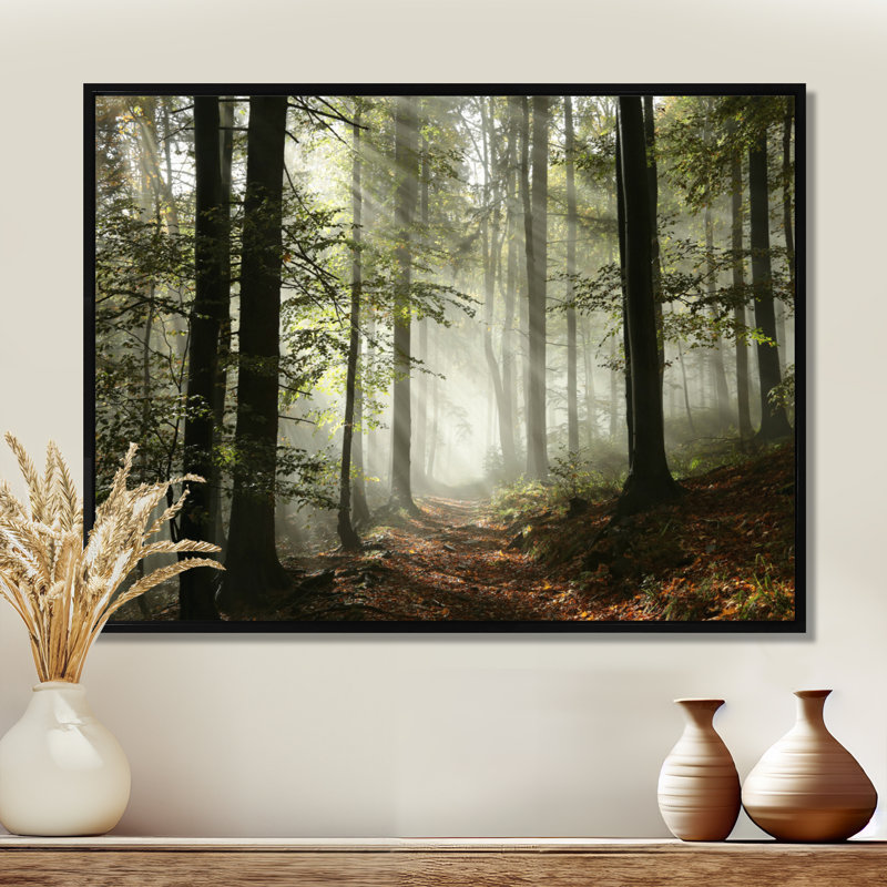 Lumière dans une forêt d'automne dense avec brouillard, œuvre d'art, H 12 po x l 20 po, Reproduction avec cadre flottant
