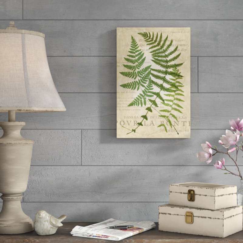 Fern Folio I by Vision Studio - Painting Print, 46cm H x 30cm W, Black Floater Framed