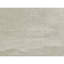 Area Rug in Gray