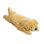 un oreiller de corps Golden Retriever