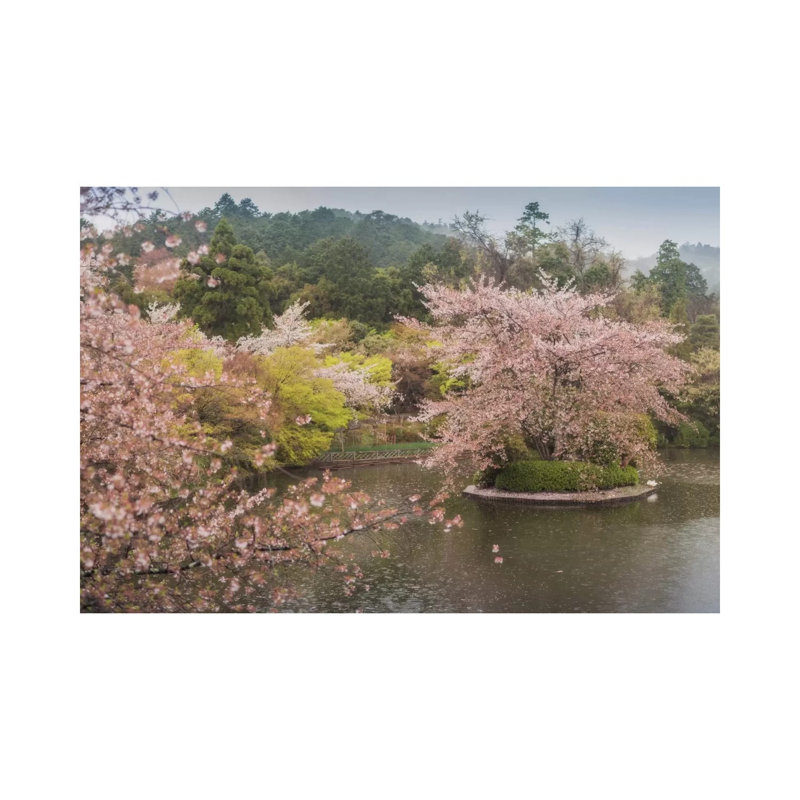 Spring In Japan XVII by Daniel Kordan - Wrapped Canvas Print, 66.04 cm H x 45.72 cm W x 1.91 cm D