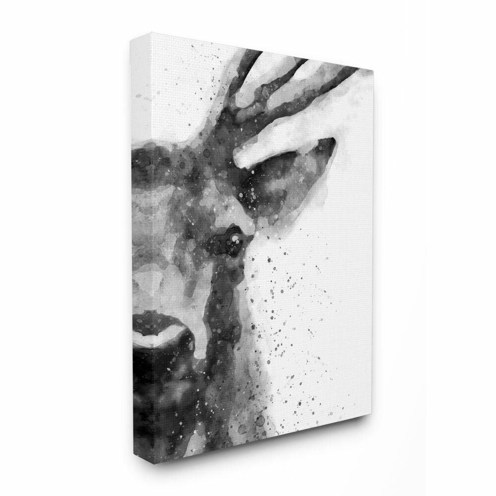 Stupell Industries Buck Reindeer Antlers Wild Forest Animal Black White  Framed by Daphne Polselli Print  Reviews Wayfair