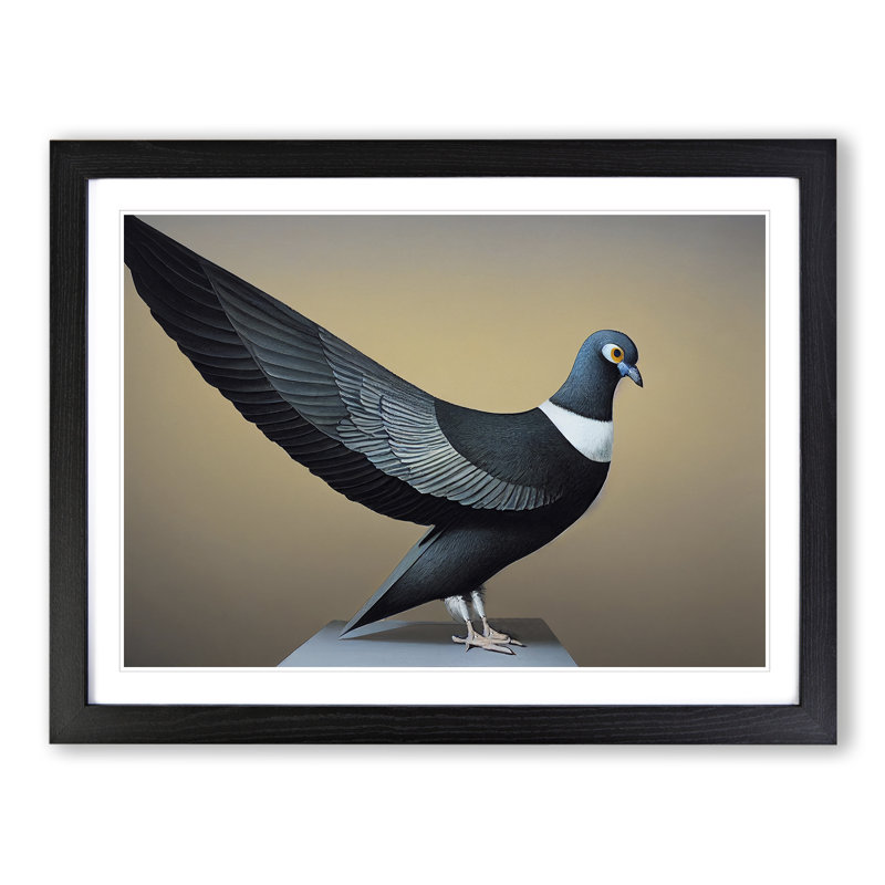 Exhilarating Pigeon Bird - Single Picture Frame Print, 46cm H x 64cm W x 2cm D, Black