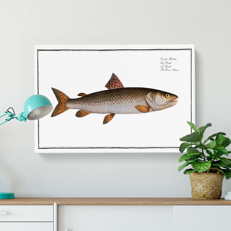 River-Salmon Fish by M.E. Bloch - Wrapped Canvas Print, 50cm H x 76cm W x 3cm D