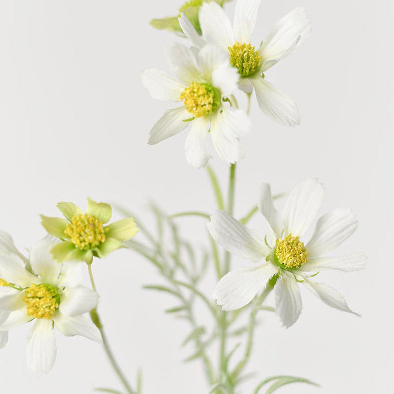 Audet Cornflower Stems, White, 18.33" x 4"