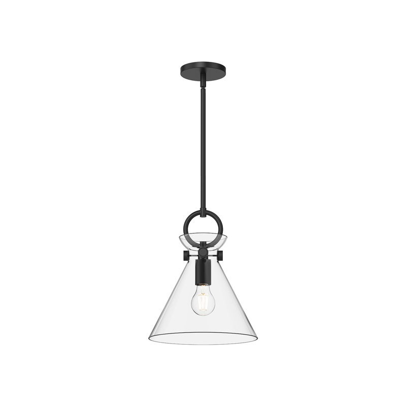 Luminaire suspendu conique à 1 lumière Tiney, H 12,75 po x l 10,5 po x P 10,5 po, Noir mat / transparent