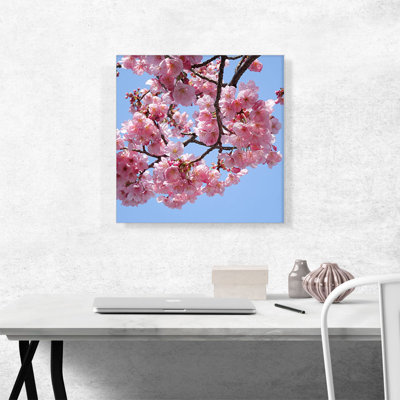 " Cherry Blossom Branch Square "