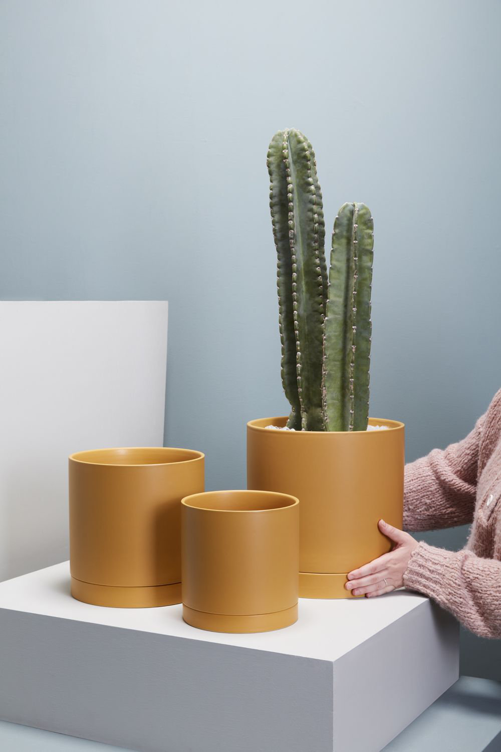 Carlotta Ceramic Pot Planter, 10" H x 10" W x 10" D, Ochre