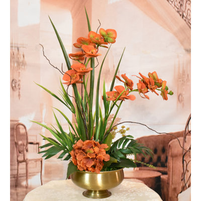 Orchid Arrangement in Vase