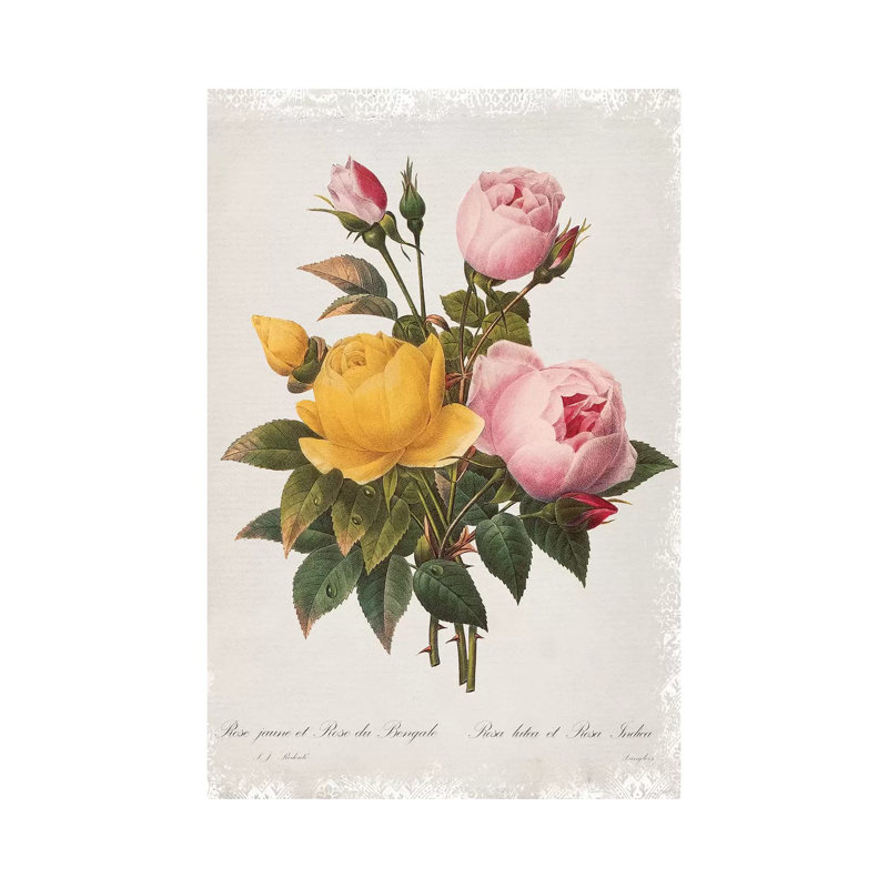 Botanical Bouquet Roses by Carol Robinson - Print on Canvas, 66.04 cm H x 45.72 cm W x 1.91 cm D, Wrapped Canvas