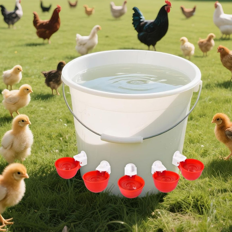 Chicken Drinking Cup 8 Pack