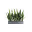 27" Potted Snake Plant - Natural-2116599304