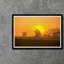 Meadow Sunrise IV Print by Tim Klein