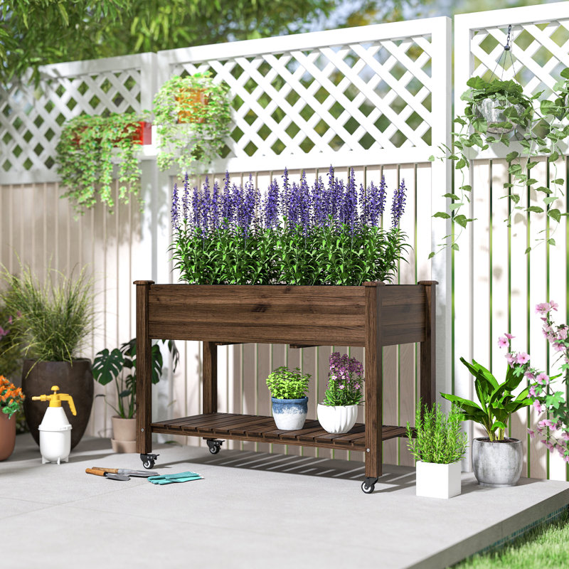 Lit de jardin surélevé, boîte à fleurs surélevée en bois, carbonisé