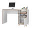 Serop Computer Desk