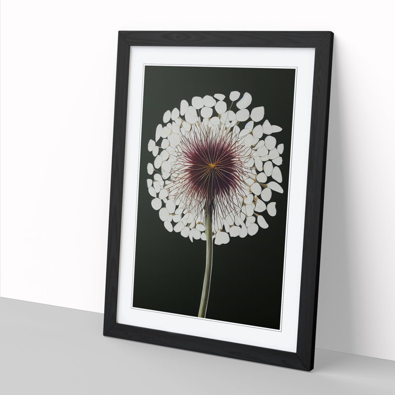 Lianni Dandelion Painting - Picture Frame Print, Black, 64cm H x 46cm W x 2cm D