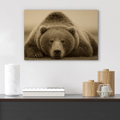 «Sleeping Brown Bear», reproduction d'art sur toile encadrée, sépia