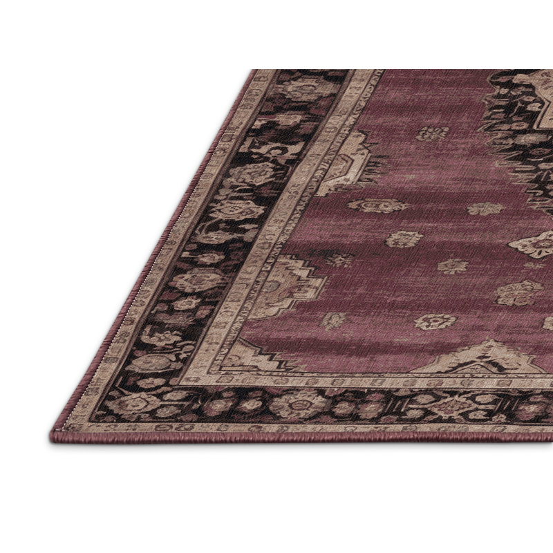 Machine Washable Overdyed Brown Area Rug