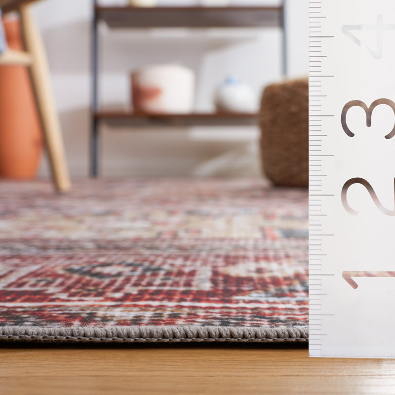 Allan Washable Oriental Indoor Rug, Rectangle 5' x 8'