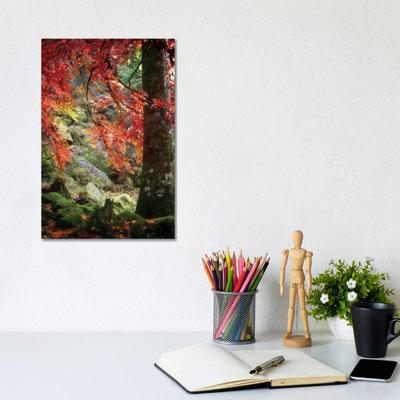 Rock Garden by Philippe Sainte-Laudy - Print on Canvas