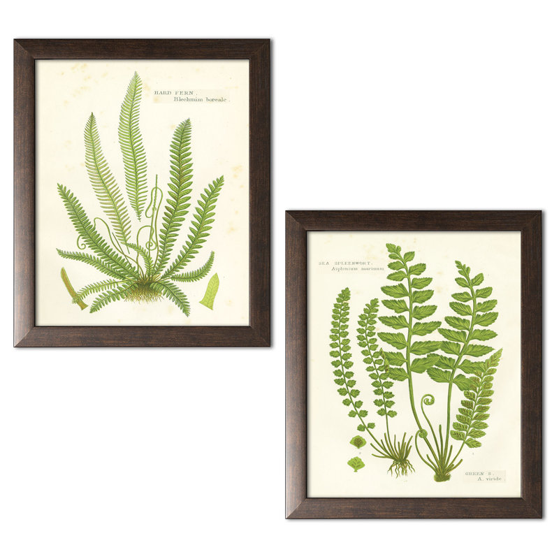 «Fern I & II» par Gwendolyn Babbitt, ensemble de 2 reproductions d'impressions, H 16 po x l 12 po x P 0,75 po, Cadre noir