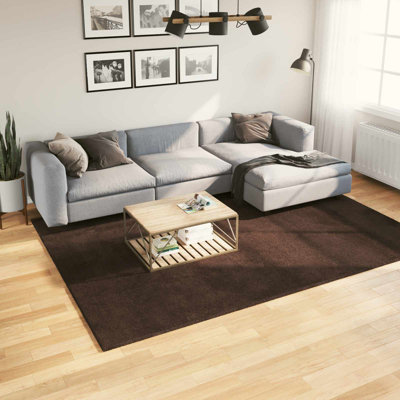 Modern Indoor Rug