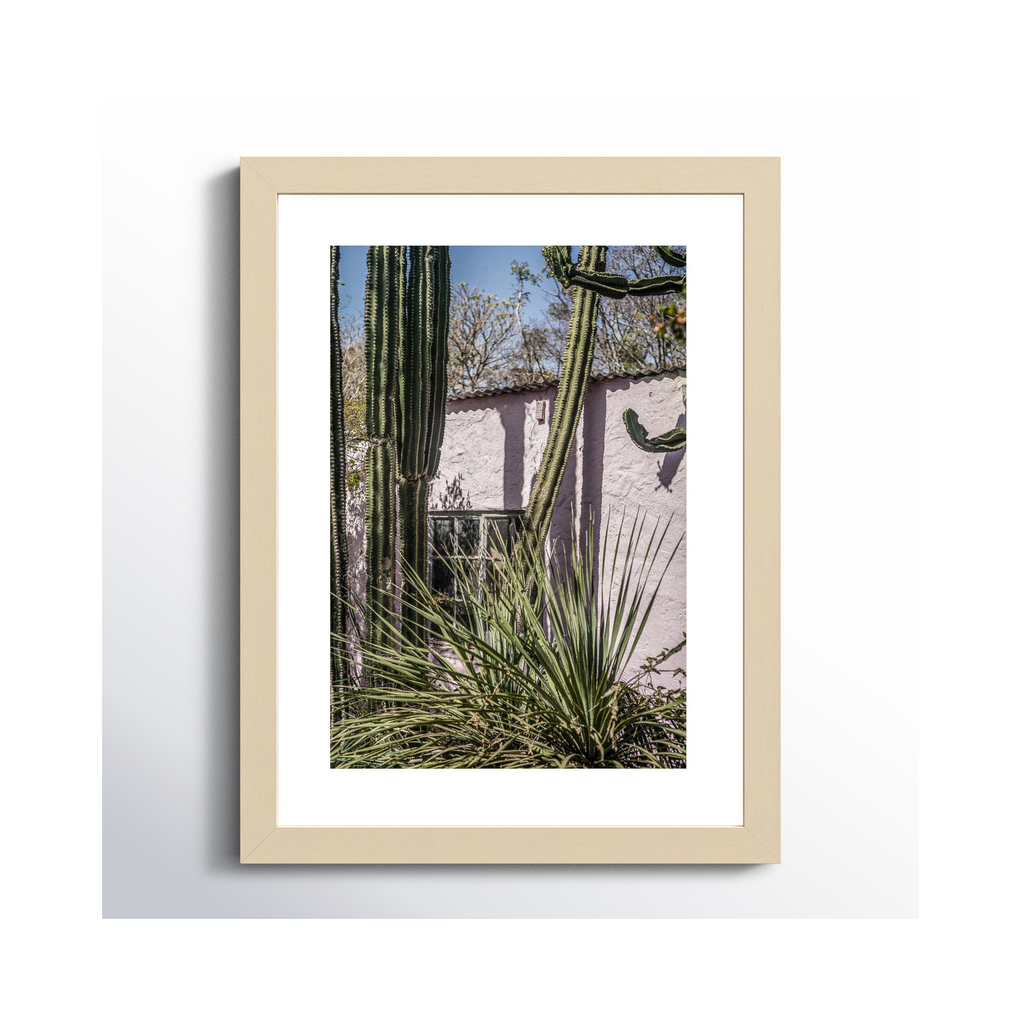 Plants On Pink by Shot by Clint Wood Framed Wall Art Print, 17" H x 13" W, Brown