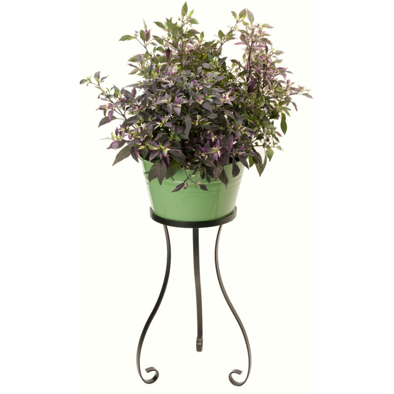 Kilian Metal Pot Planter, Sage