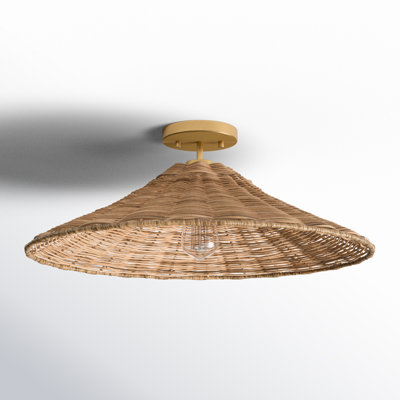 Meridian 1-Light Ceiling Light in Natural Brass