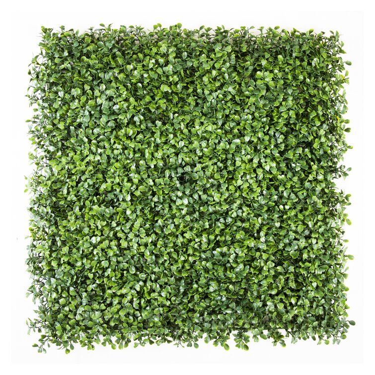 Primrue 1'' Faux Boxwood Hedge - Wayfair Canada