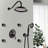 Shower Faucet In Matte Black - 4 Spray Options, Water Flow Control Modes, Powerful-127368503