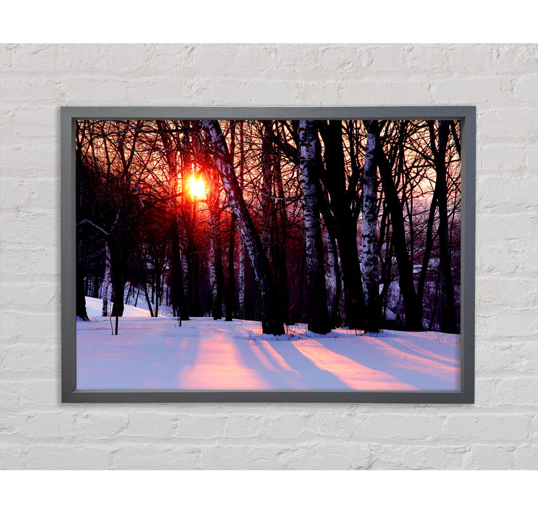 Winter Woodland Sun - Einzelner Bilderrahmen Kunstdrucke auf Leinwand